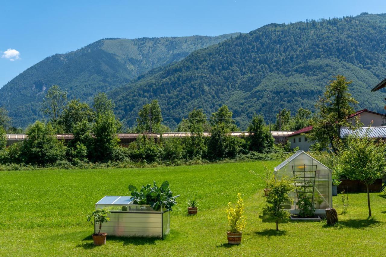Fruehstueckspension Haus Ahamer Ebensee Exteriör bild